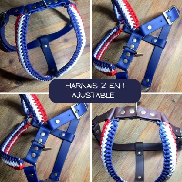 Harnais Frenchie - Ajustables – Image 20