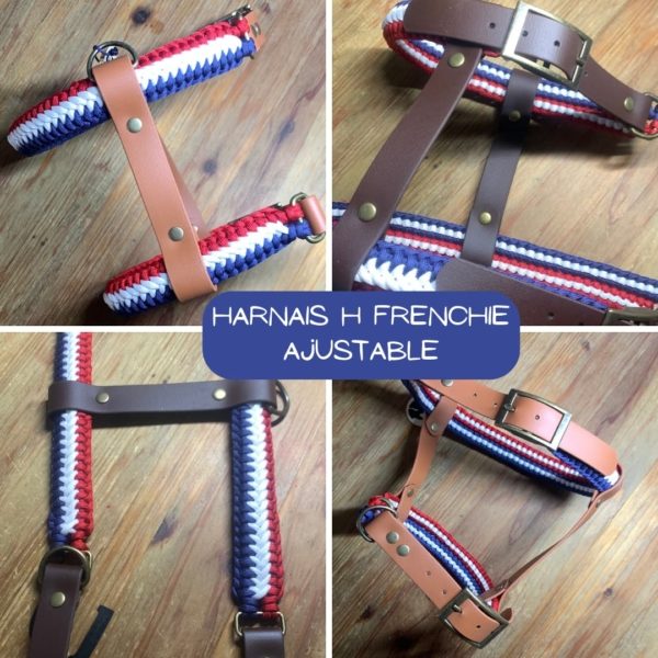 Harnais Frenchie - Ajustables – Image 19