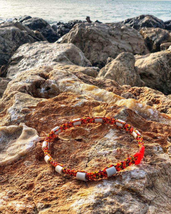 collier anti tique naturel
