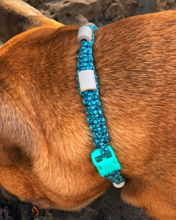 collier anti tique summer
