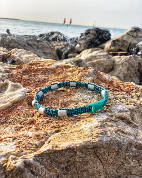 collier anti tique vert bleu