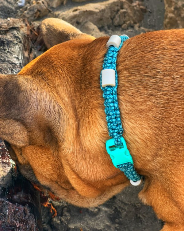collier anti tique naturel bleu