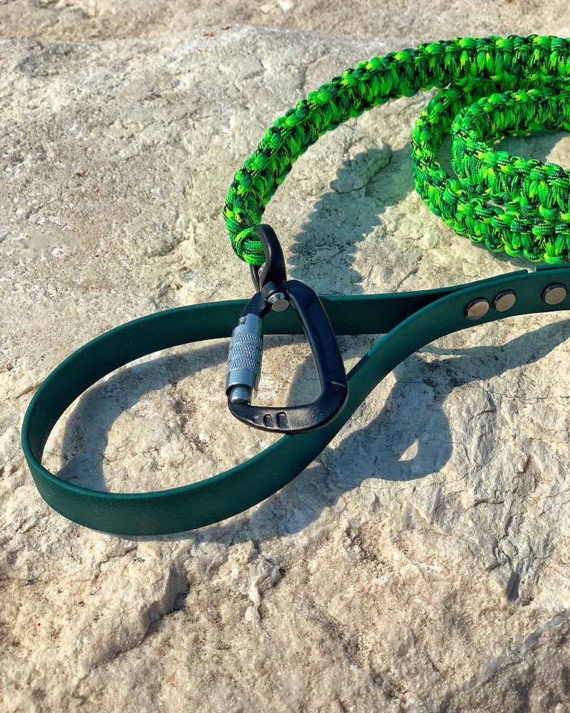 laisse gecko verte
