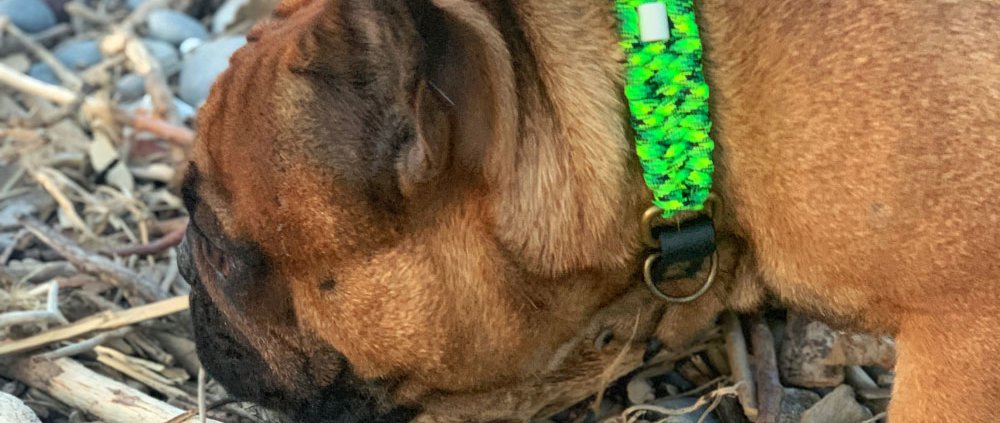 collier vert printemps
