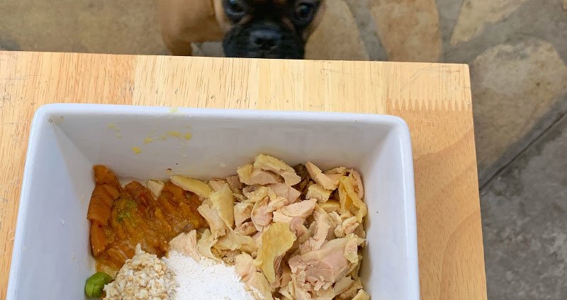 ration ménagère bouledogue