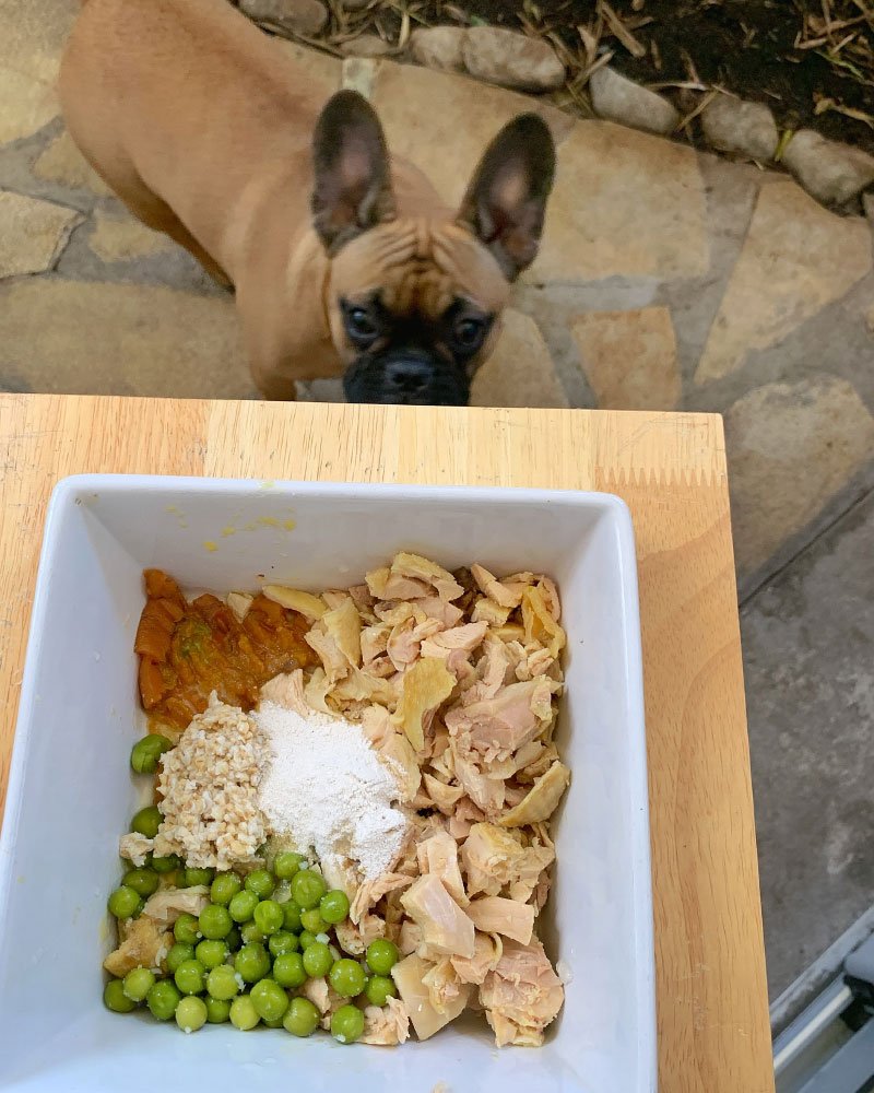 La Ration Ménagère Pour Bouledogue