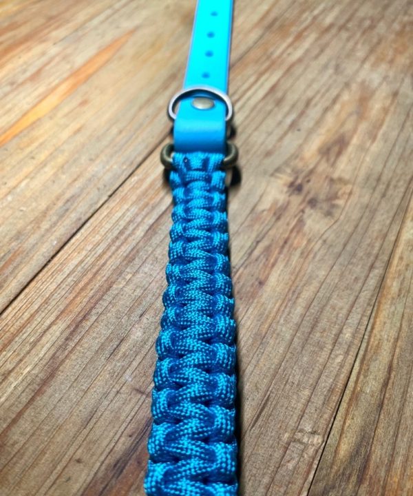 collier chiot bouledogue bleu