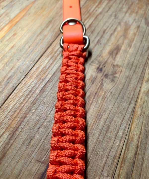 collier chiot bouledogue orange