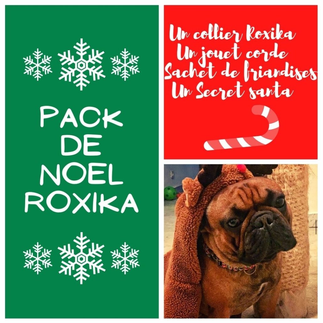 pack noel bouledogue