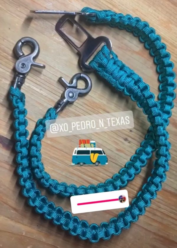 ceinture chien