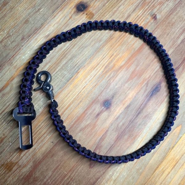 ceinture chien