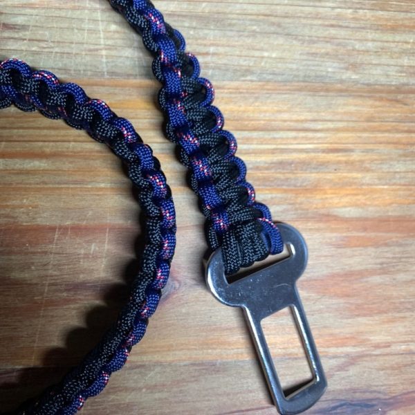 ceinture chien