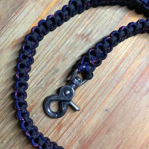 ceinture chien