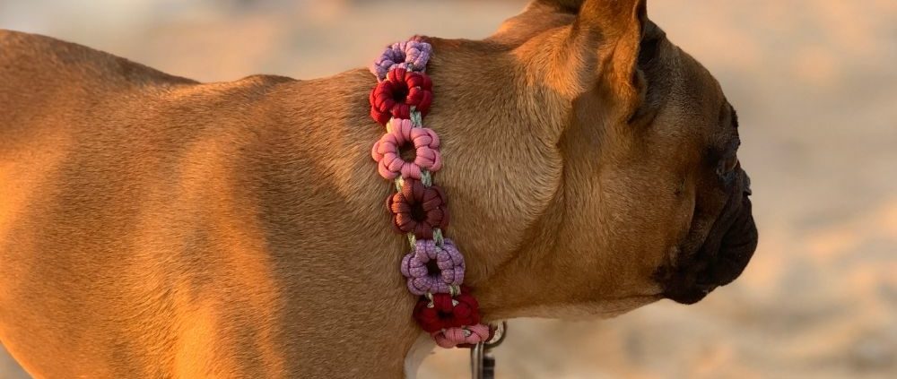 collier fleurs