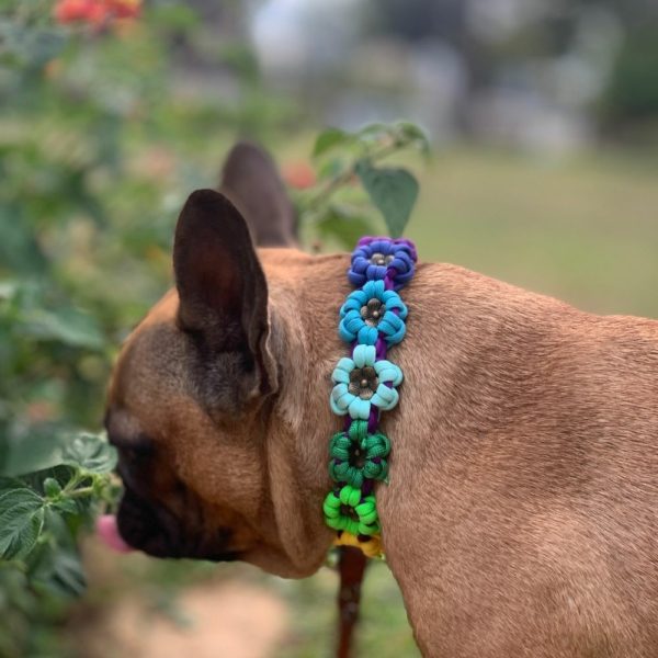 collier rainbow