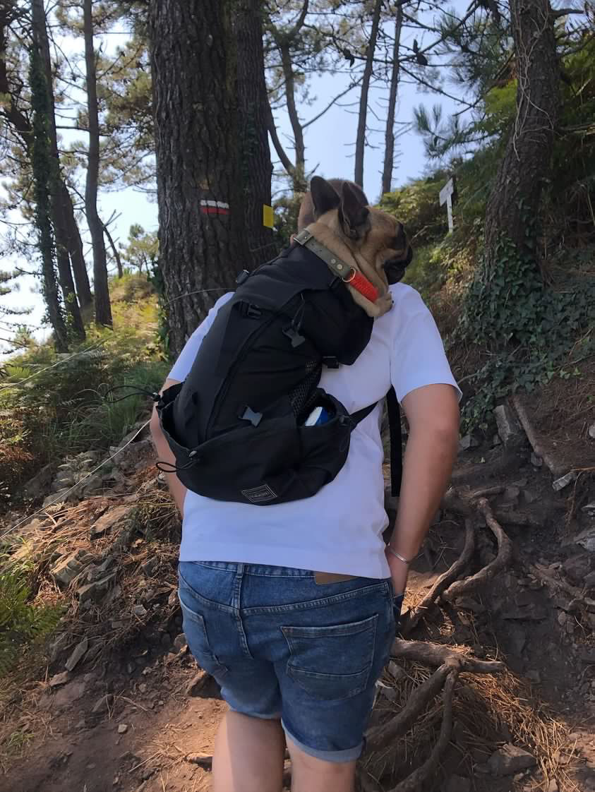 sac a dos bouledogue
