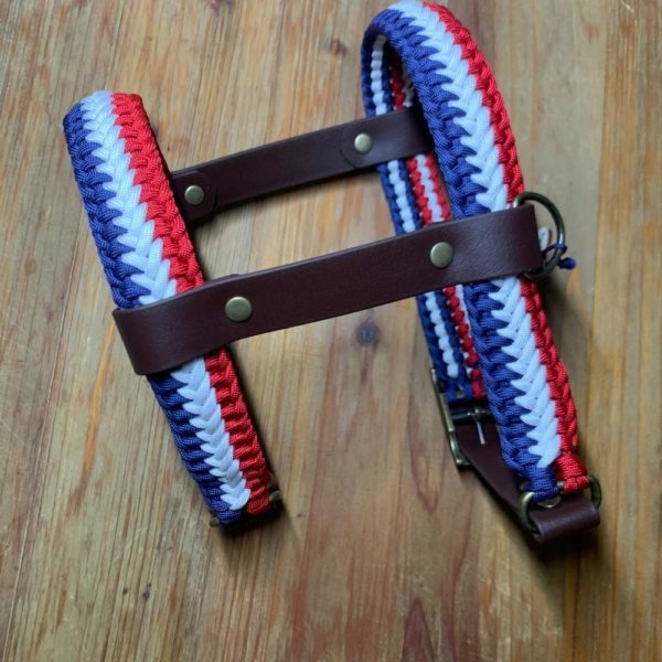 Harnais Frenchie - Ajustables – Image 19