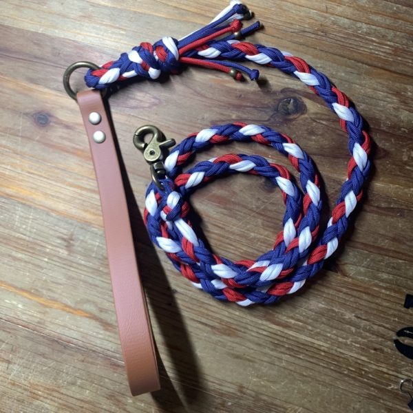 laisse frenchie
