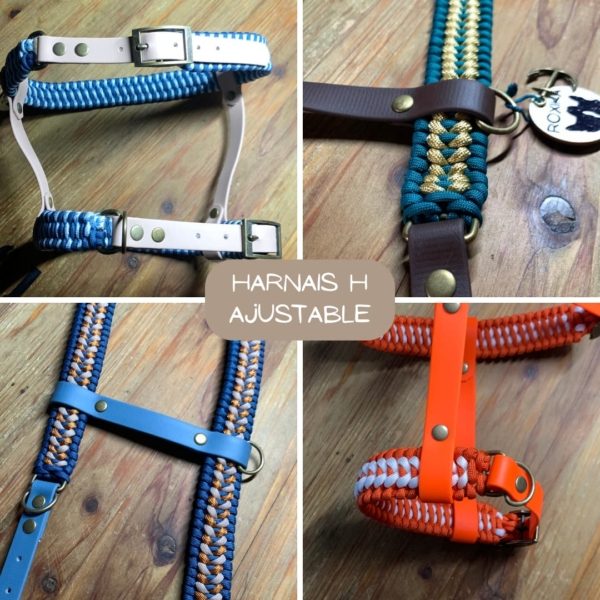 Harnais tressé sur-mesure – Image 32